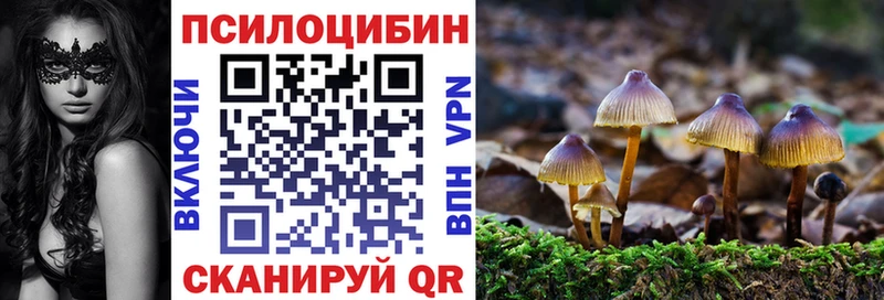 KRAKEN ССЫЛКА  Ладушкин  Псилоцибиновые грибы мухоморы 