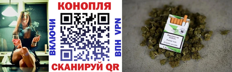 Конопля сатива  ОМГ ОМГ ссылка  Ладушкин 